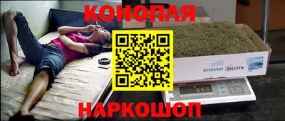 гидра Старая Купавна