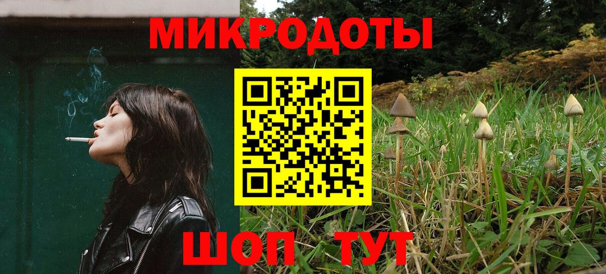 Галлюциногенные грибы Psilocybe Обнинск
